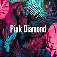Pink Diamondの求人情報