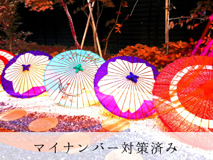 ～癒しの極み～風雅 高知店の写真2情報