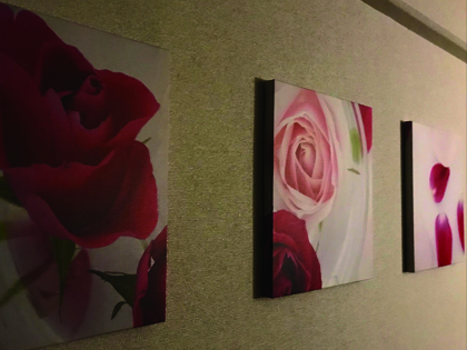 BLOOMの写真3情報