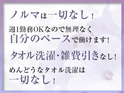 Mrs.Petunia（ペチュニア）の写真3情報
