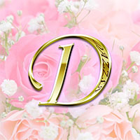 DAZZLEの求人情報