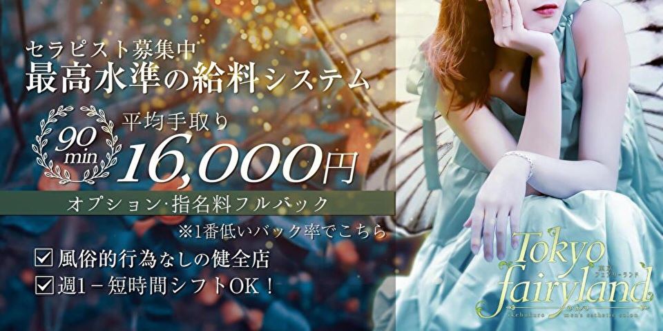 Tokyo fairy land～東京フェアリーランド～のメイン画像