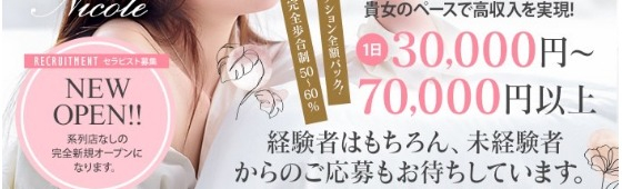 NICOLE(ニコル)のメイン画像